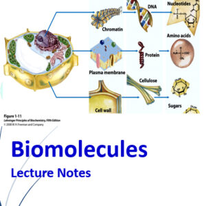 Biomolecules Lecture Notes