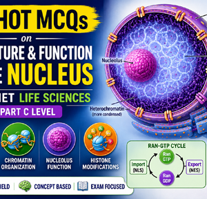 25 HOT MCQs on Structure and Function of the Nucleus | CSIR-NET Life Sciences Part C