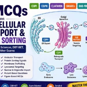 HOT MCQs on Intracellular Transport & Protein Sorting for CSIR NET Life Sciences | COPI, COPII, SNAREs, Rab Proteins & Lysosomal Targeting