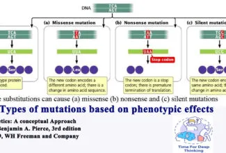 MCQs on mutations and mutagens