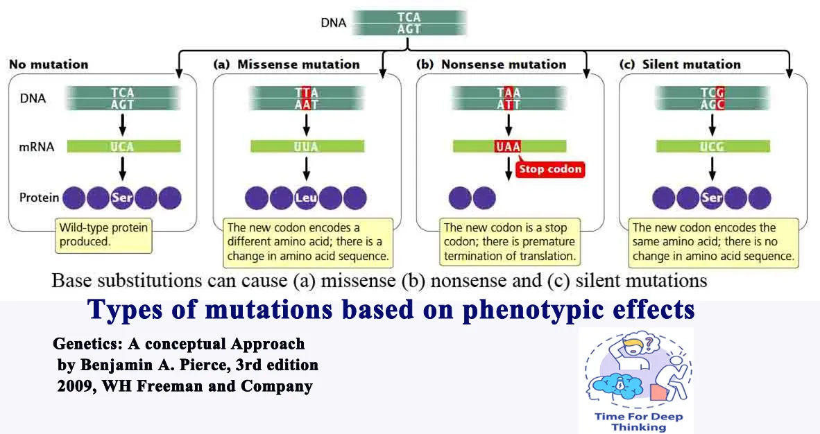 MCQs on mutations and mutagens