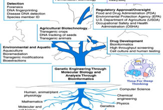 MCQs on Introduction to Biotechnology